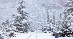 Keep Your Back Safe This Season